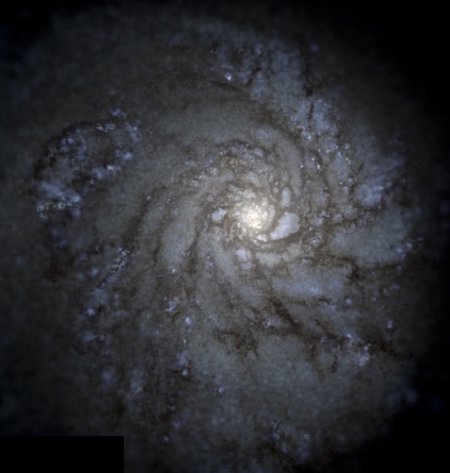 Simulated galaxy from the Hopkins group / FIRE