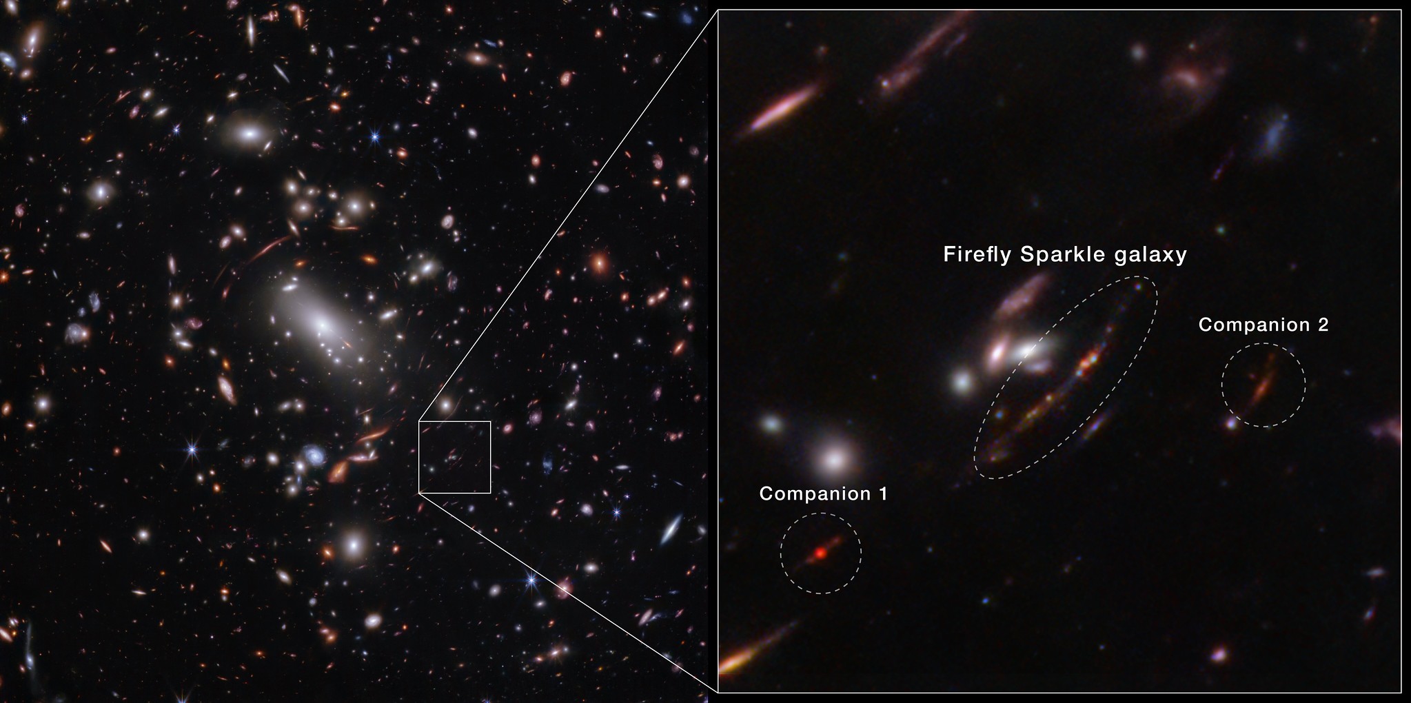 The Firefly Sparkle galaxy