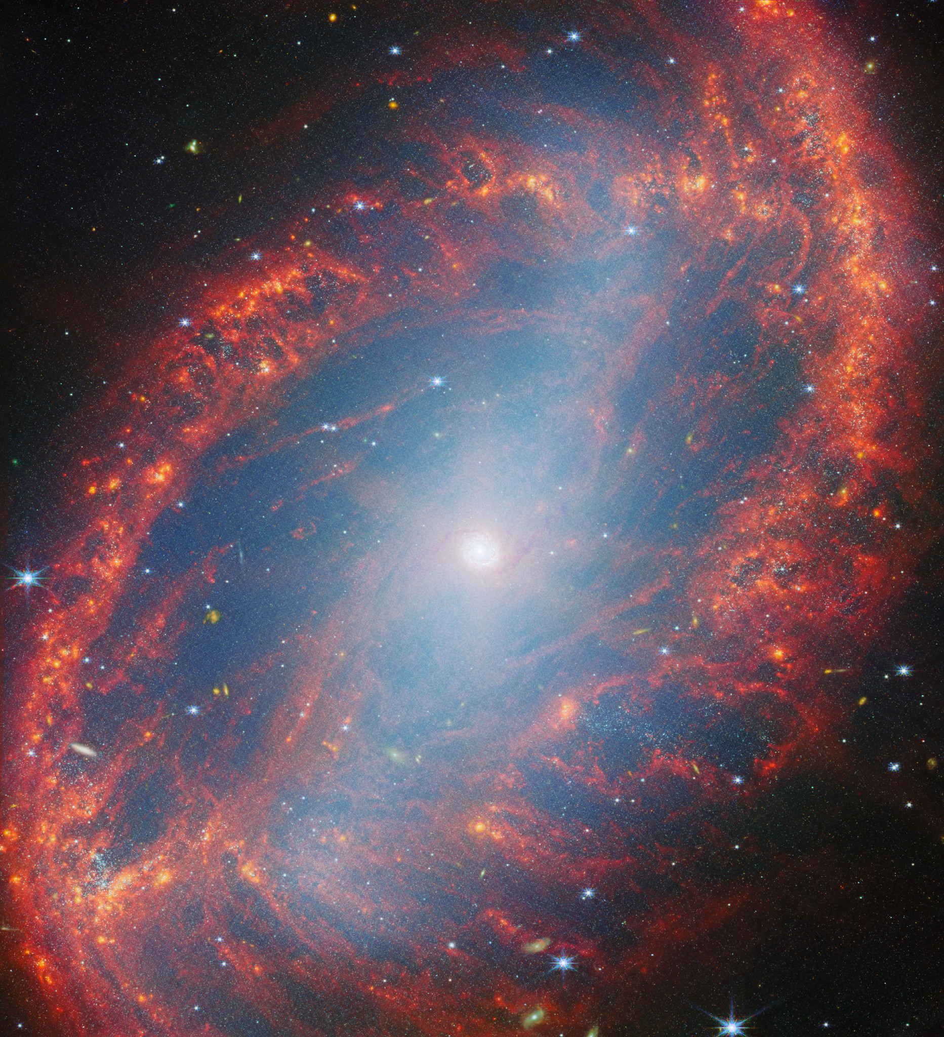Observed galaxy NGC 2566