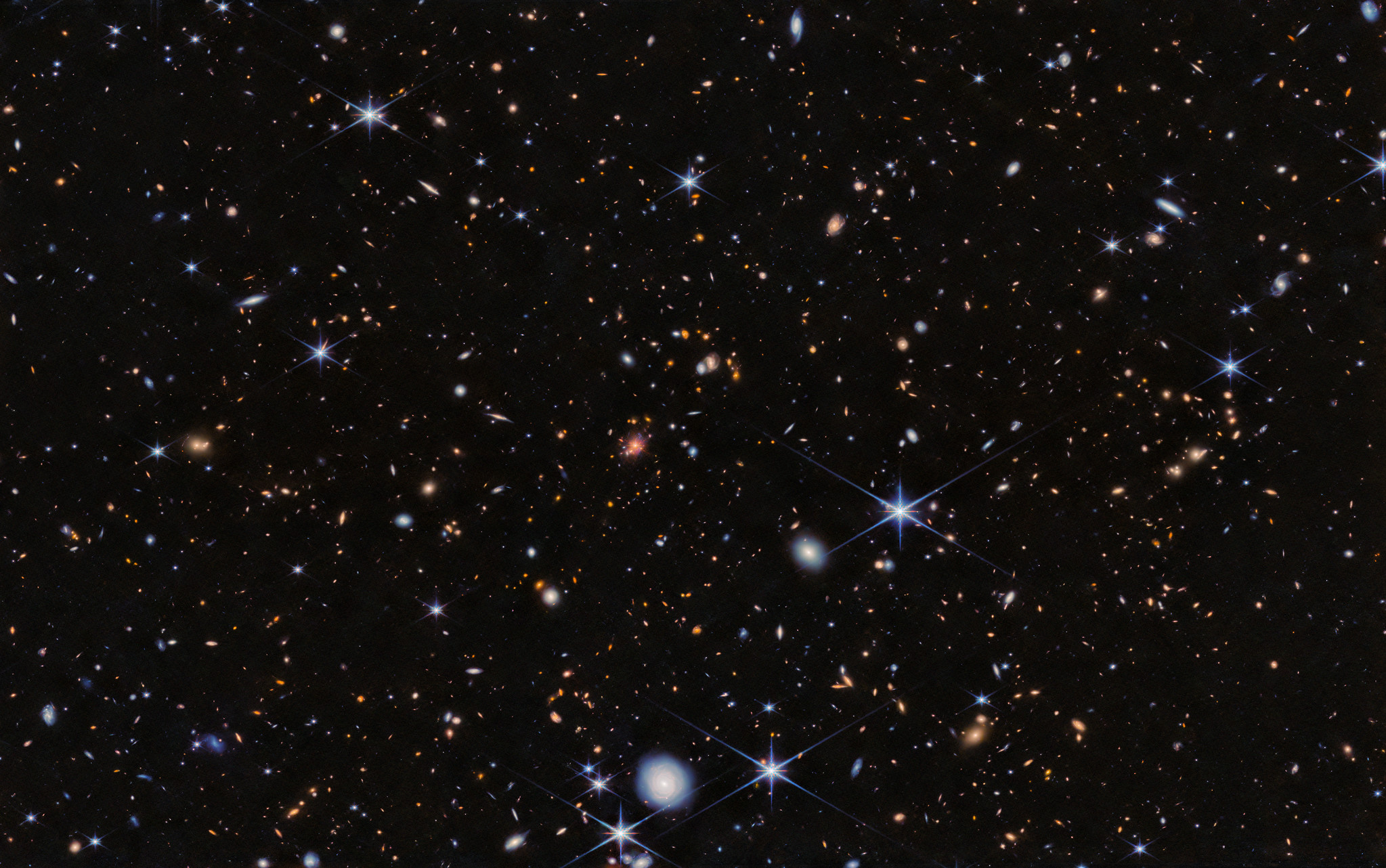 The Spiderweb protocluster